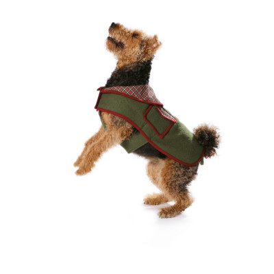 Střih Burda číslo 7752 oblečky pro psy