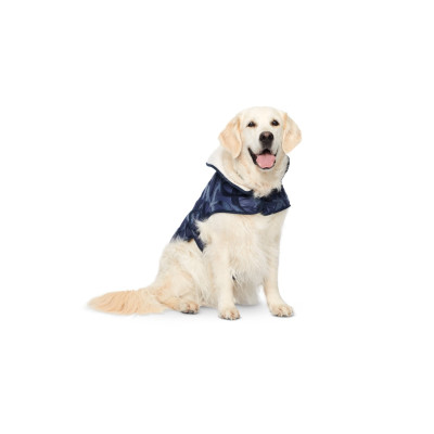 Střih Burda 6049, návod k šití: obleček pro pejsky